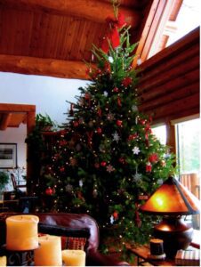 A Sappy Log Home Company