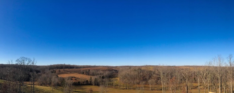 log home site